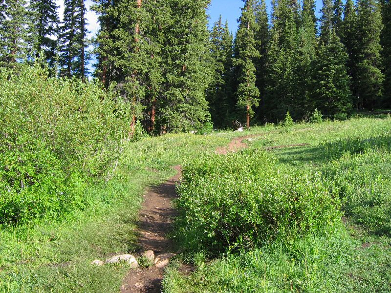 About three quarters of a mile into the hike, the trail passed through this short meadow.