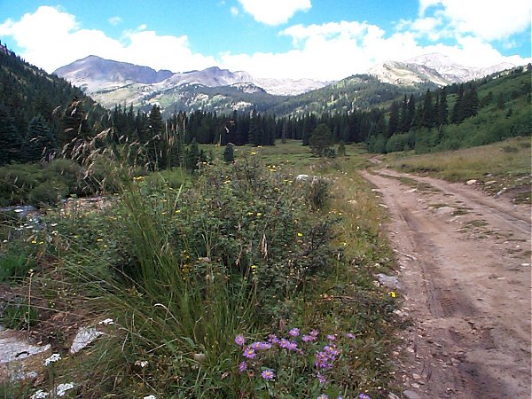 The 4 x 4 road into the North Fork of the Clear Creek valley.  The unnamed valley is up and to the right (north) in this photo.