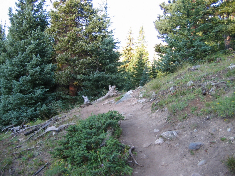 The trail crosses a slope.