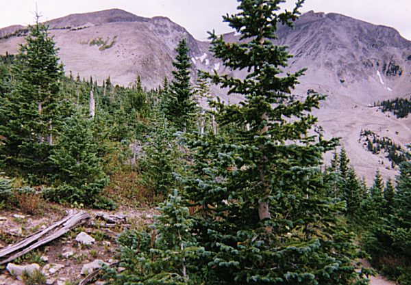 View of the summit from half-way up.