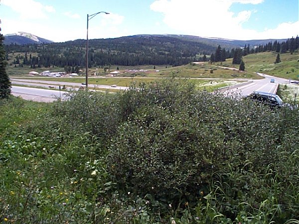 Back at the Vail Pass trailhead.