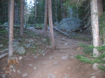 Up and into the woods.