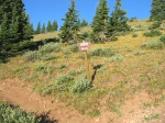 Seriously, stay on the trail.