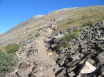 Now above the tree line, I can see I am not alone.