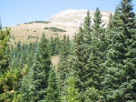 One last look at the summit from below.