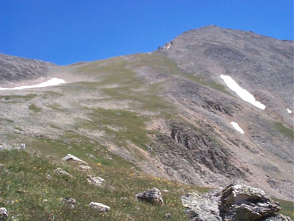 The maintained trail up to Huron Peak (on the right) switches back and forth up/down this high alpine meadow ...