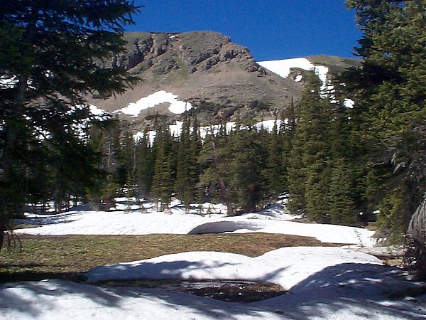 A beautiful meadow ...     ... once the snow melts.