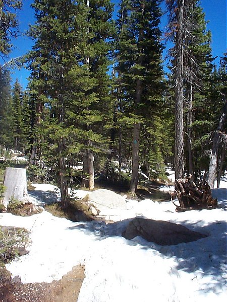 The trail back down near the trailhead.  Note the abundance of snow and water.