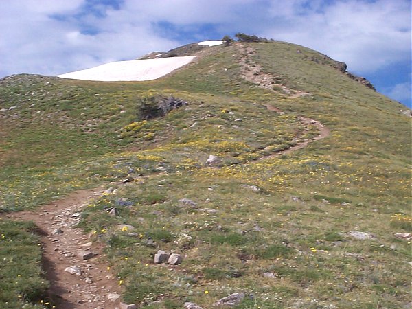 Once above the trees the trail goes up ...