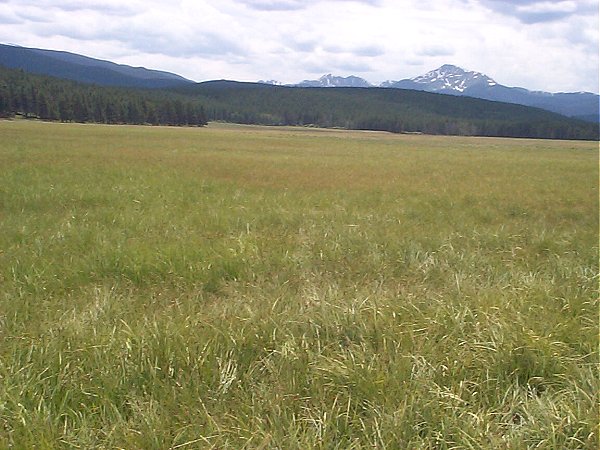 A view of Byer's Peak - our destination - from the Fraser Valley floor.