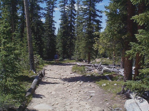 The old wagon road that is now Columine Lakes Trail.