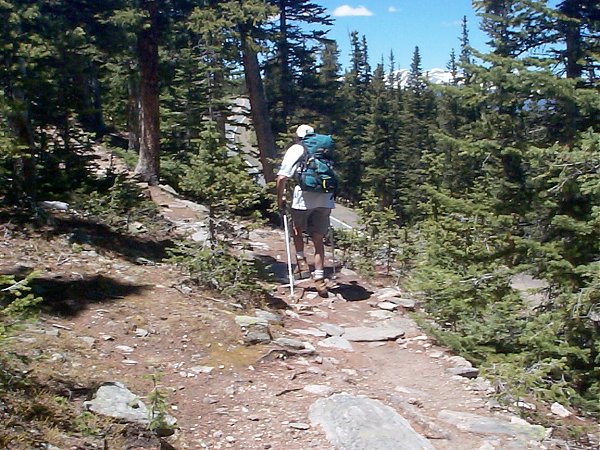 Tommy along the trail with Squaw Pass road visible through the trees below him.