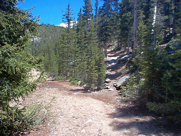 About two-tenths of a mile into the hike you will cross an old gravel road.  Continue on up the trail on the other side.