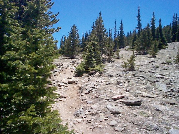 About a third of a mile into the hike, the scene changes as you approach a saddle between Papoose Mountain (el. 11,174 feet) and Chief Mountain.