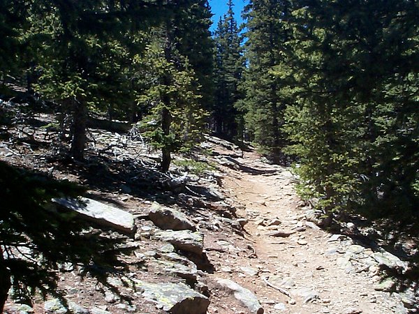 Then the trail heads back up through the trees.