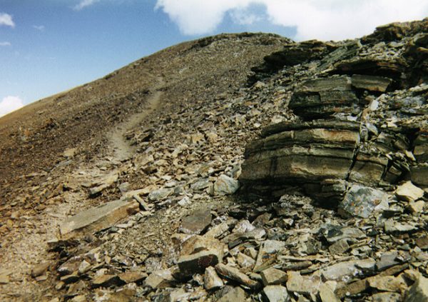 The trail near the top of Mount Cameron.