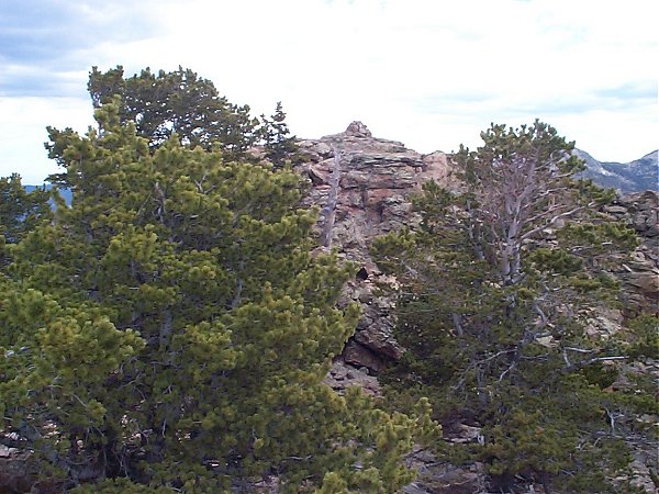 There's the summit of Estes Cone.  We're almost there!