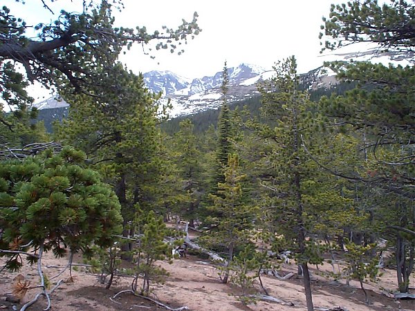 We stopped near this beautiful view to enjoy the moment on the mountain.