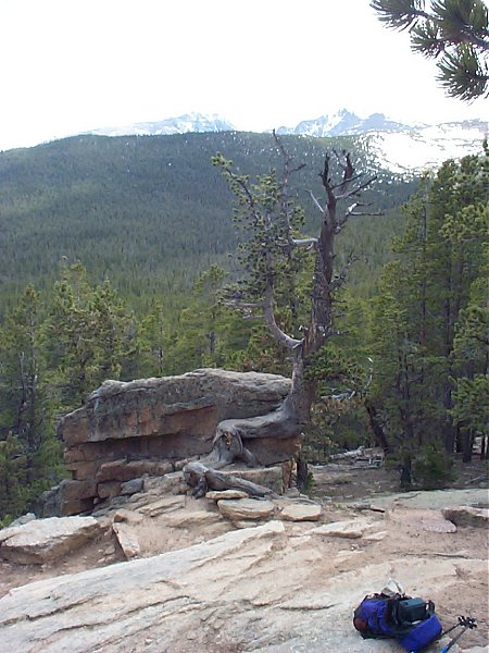 There was a great view of Long's Peak about 2 miles into the hike (~10,000 feet) - unfortunately it doesn't show too well in this photo.