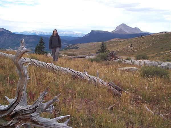 Terese passing through one of the lower mountain meadows.  If you look closely at the larger click-through image you can see a flock of domestic sheep behind her in the meadow on the right.