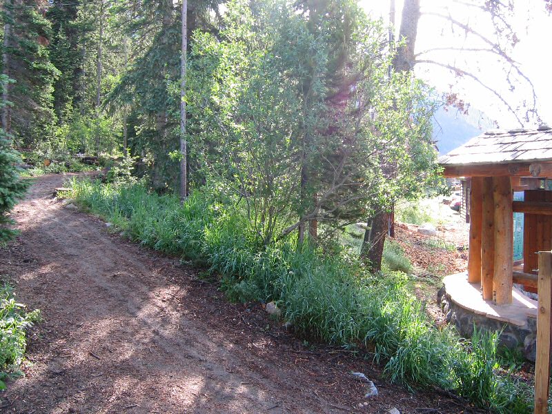 The trailhead with the parking lot slightly visible on the right.