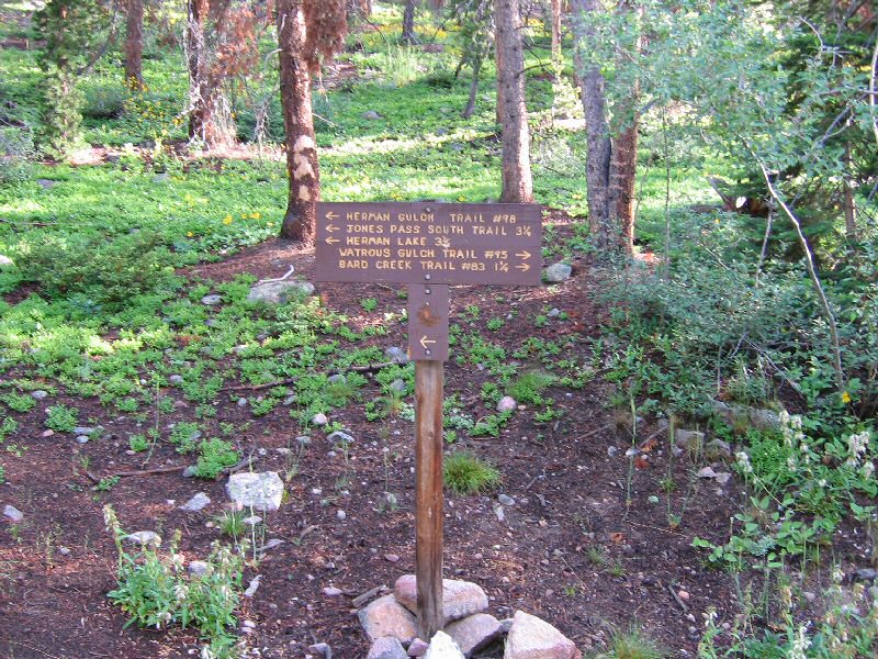 About a fifth of a mile into the hike, you'll reach this trail junction.  Go left.