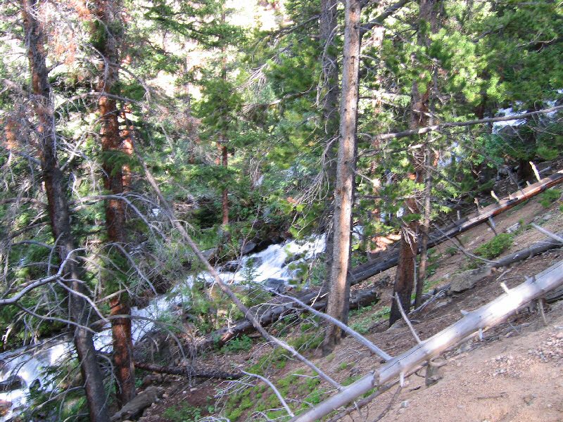 It wasn't until about a half mile into the hike that when the trail approached the roar of Herman Creek that the sound of I-70 dissapeared.