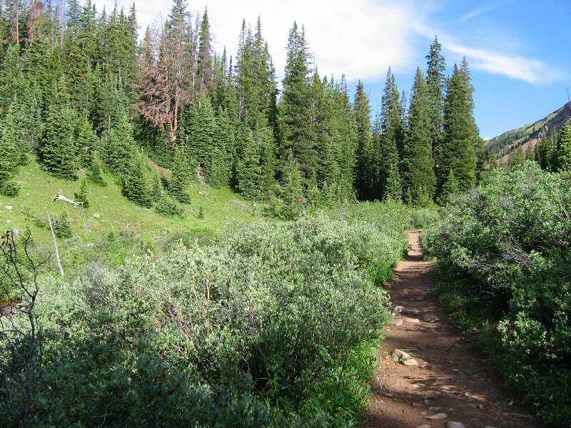 Along the trail ...