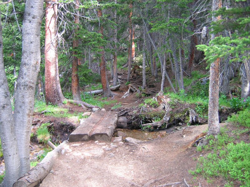 This section of the hike crosses quite a few little streams running down the hillside.