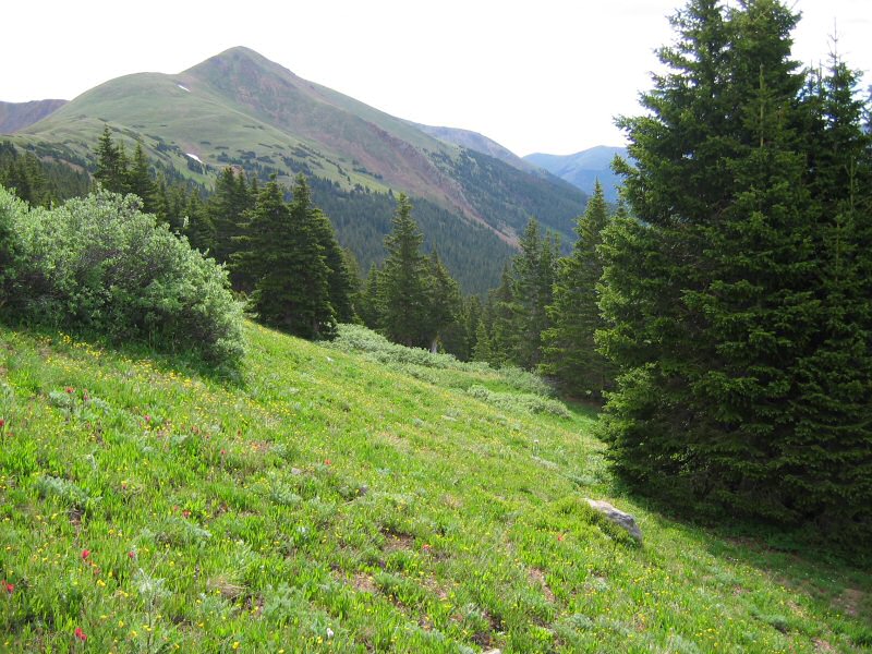 There's a great view of Mount Machebeuf (elev. 12,805 ft.) directly to the east.