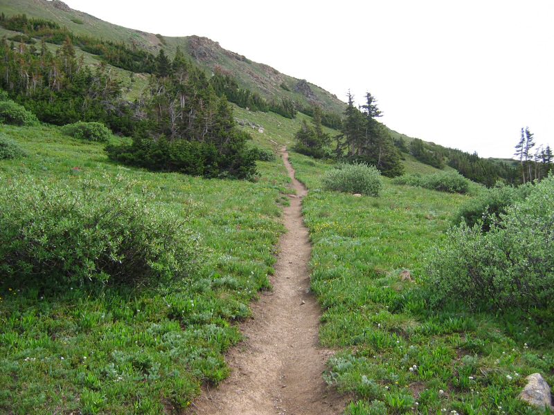 Looking east up Jones Pass trail.