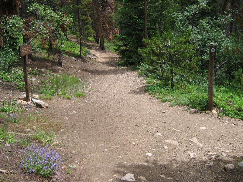 Don't forget to turn right at the site back down near the bottom of the trail ... otherwise, you're headed to Woods Mountain!