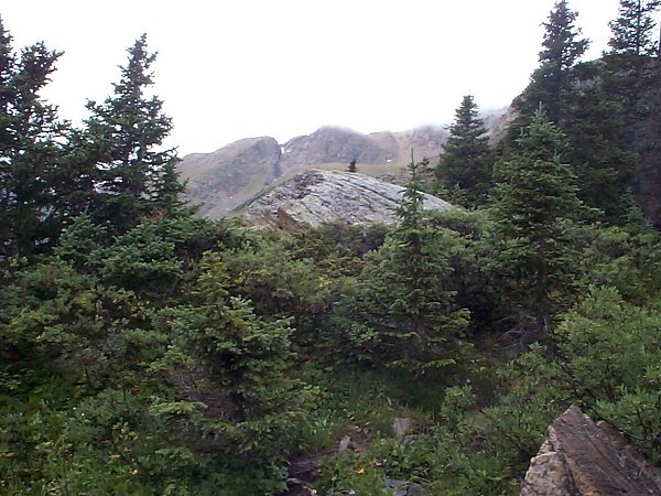 After the rain and lower down the Halfmoon Creek trail, this photo was taken looking back up on the southwest shoulder of Massive.