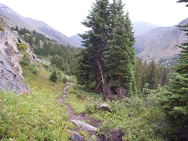 A view of Halfmoon Creek valley looking east about 9-1/2 miles into the hike.