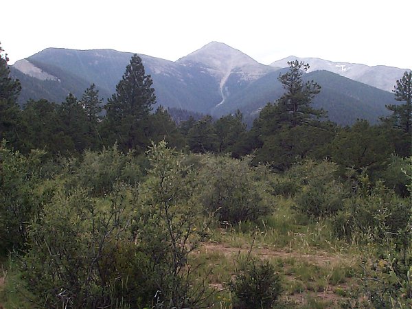 A good view of the sub-peak and Mount Princeton (almost hidden by the tree right-center) from the road off the mountain.