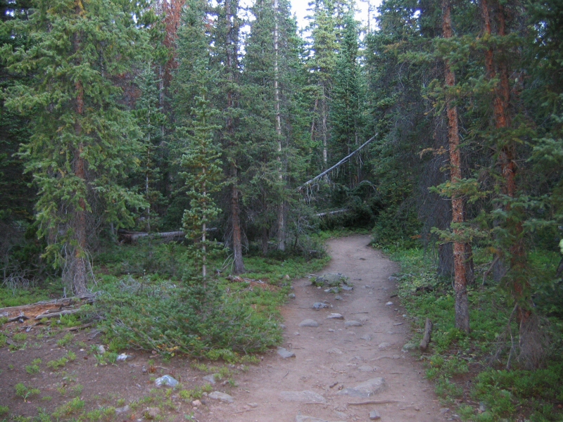 Further along the trail.