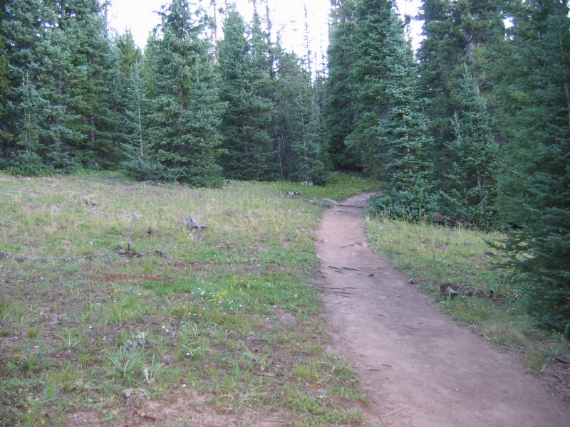 Through a small clearing.