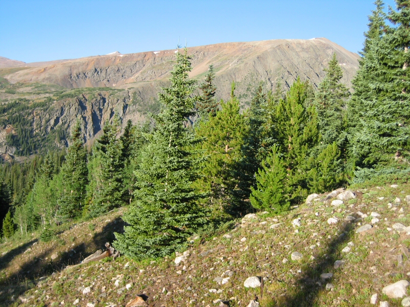 That's North Star Mountain (elev. 13,4XX feet) just south of Quandary.