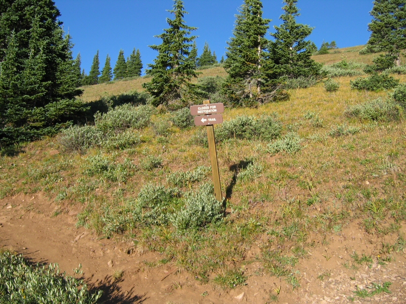 Seriously, stay on the trail.