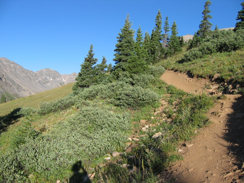 Now we're getting high enough that the trees are starting to thin out a bit.
