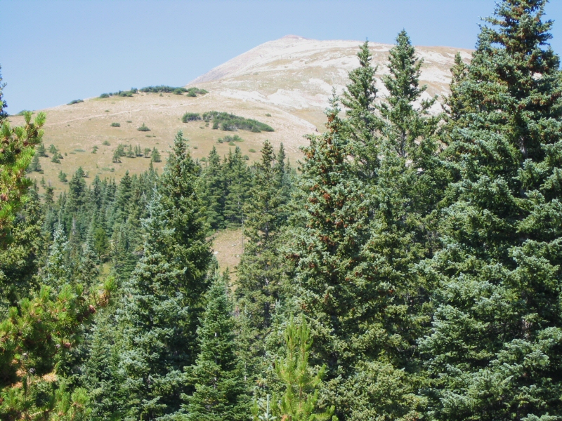 One last look at the summit from below.