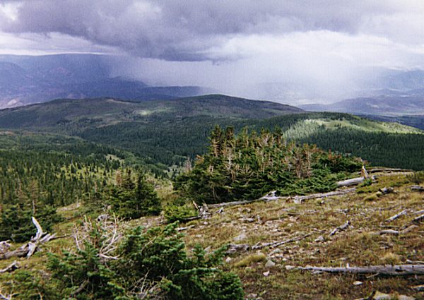 Rain over the town of Basalt as seen from treeline.