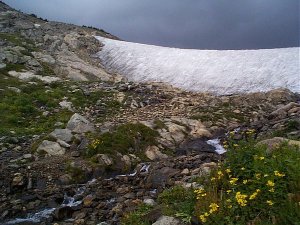 Where glaciers end ...