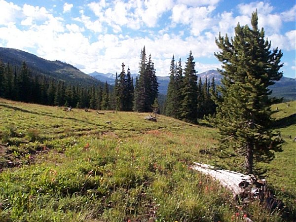 A view down the valley towards the southeast.