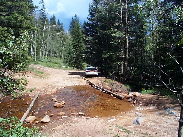 I parked my car just beyond the campground at a water crossing I wasn't quite sure about.  [The car has been turned around and is parked facing back down the road.]