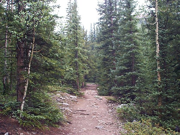 Beyond that, the trail which is quite wide and well traveled continues up through the Denny Creek valley.