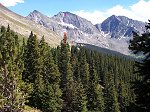 The Three Apostles from treeline.