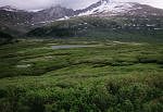 Sawtooth and Mount Bierstadt across the marshy meadow. Sawtooth and Mount Bierstadt across the marshy meadow.