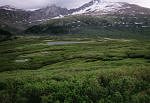 Sawtooth and Mount Bierstadt across the marshy meadow.