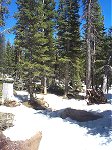 The trail back down near the trailhead.  Note the abundance of snow and water.